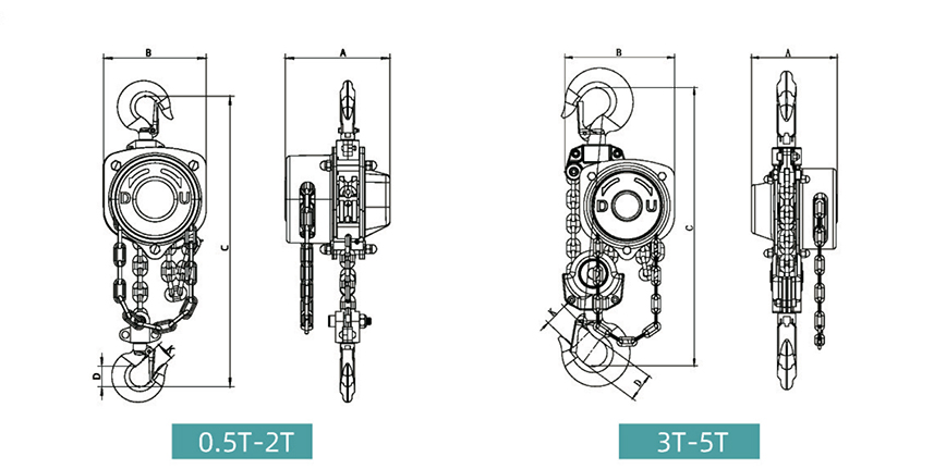 MSAE1