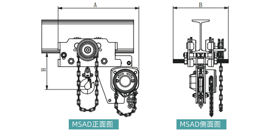 MSAD1
